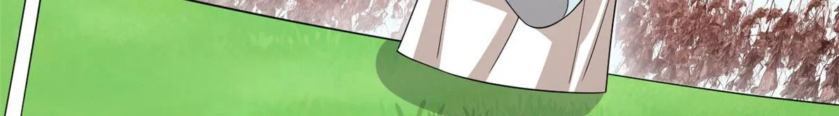 344 第43页
