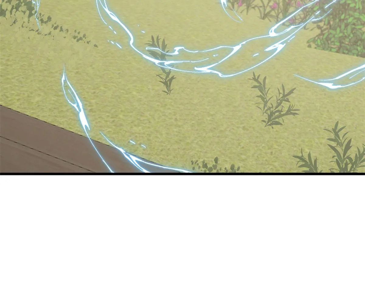343 第113页