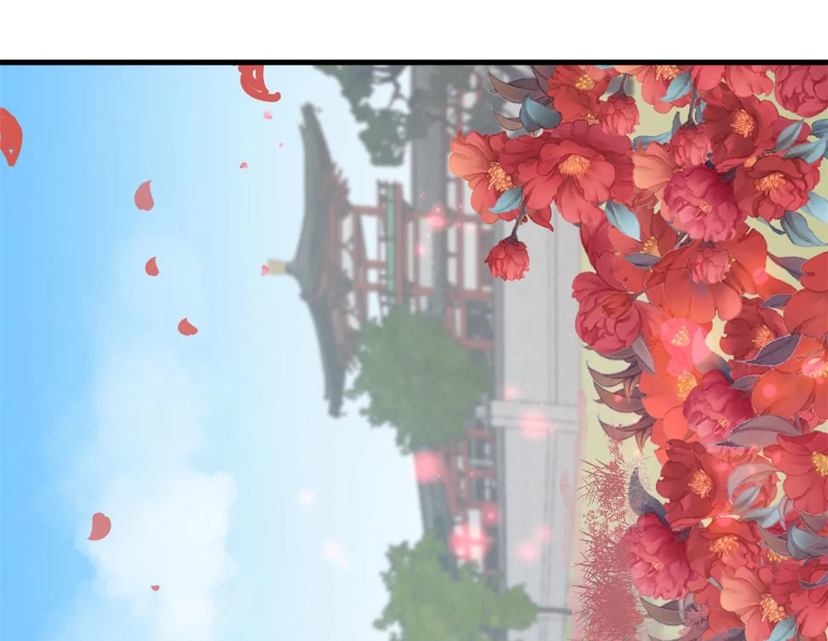 343 第114页