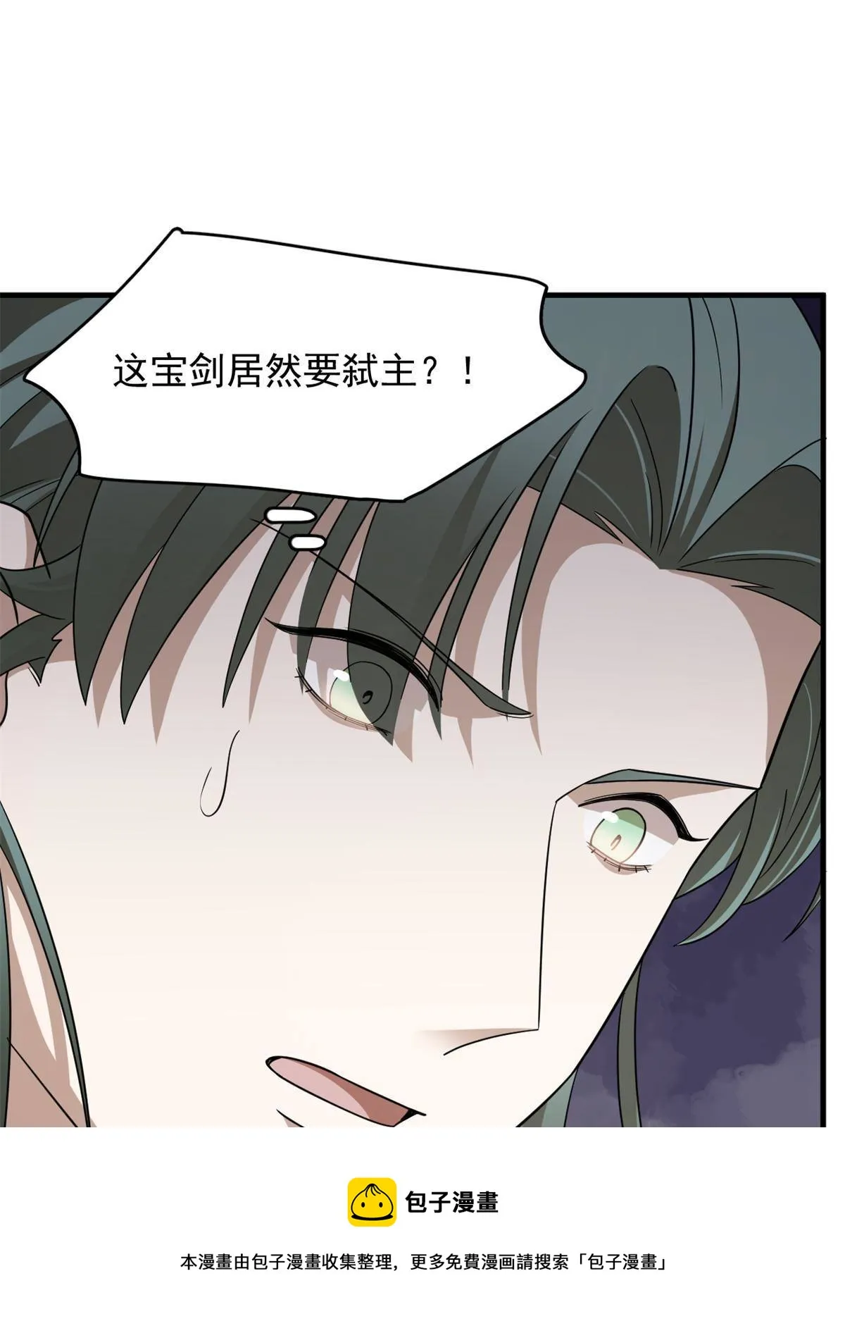 339 第51页