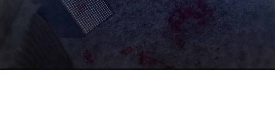 13 第96页