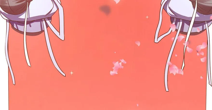 20 第48页