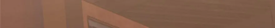 20 第77页