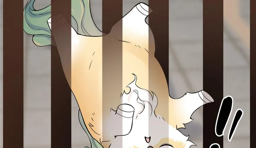 22 第75页