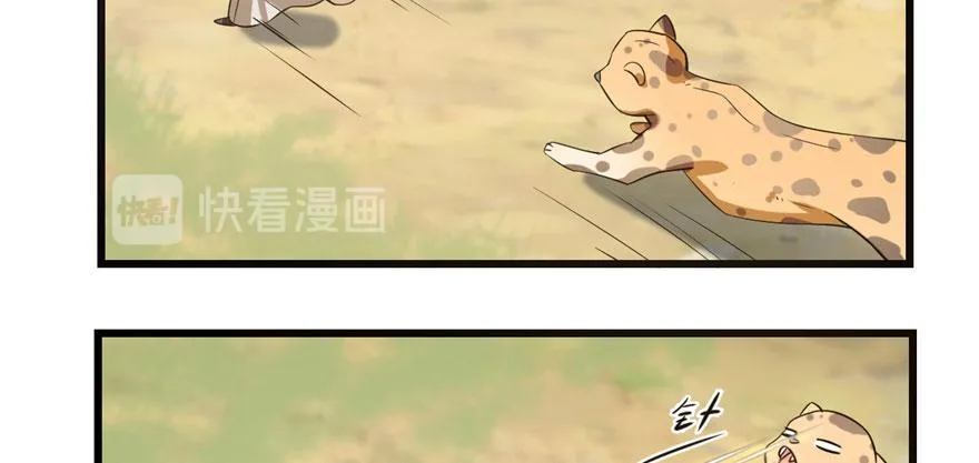 23 第147页