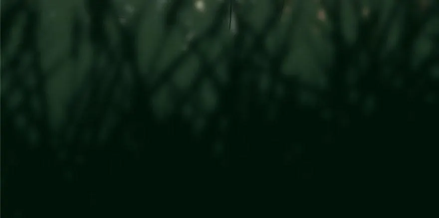 23 第168页