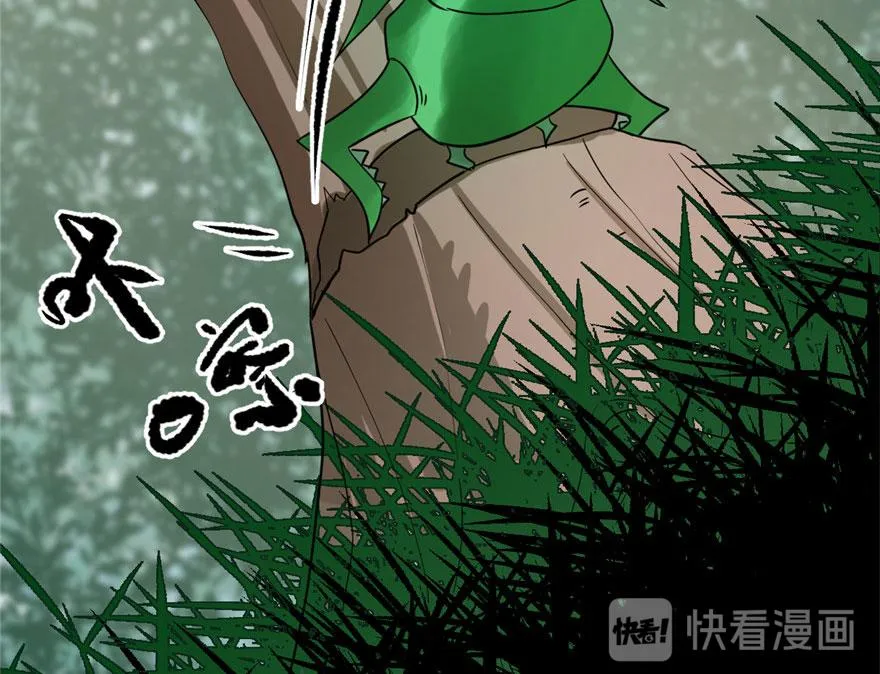 24 第25页