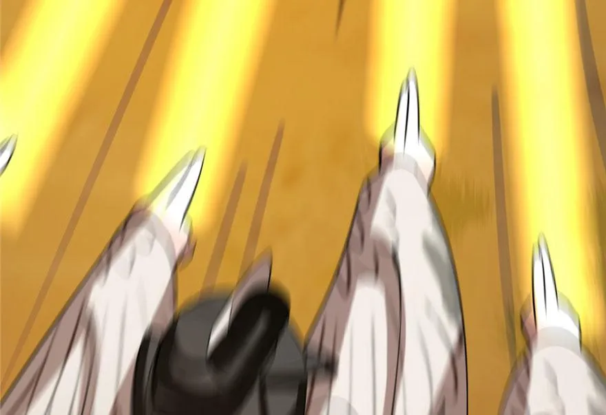 25 第118页