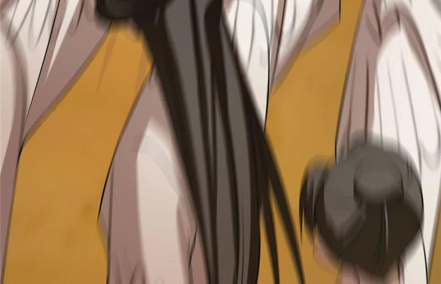 25 第119页