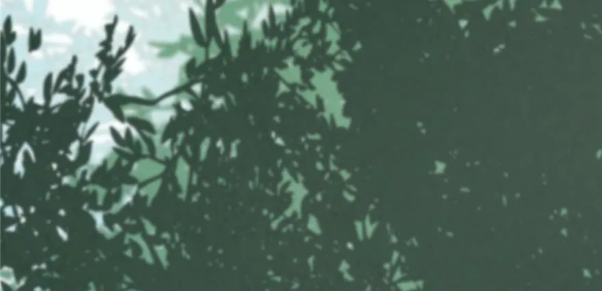 26 第46页
