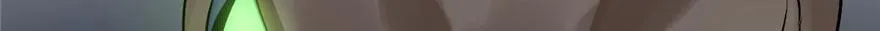 28 第29页