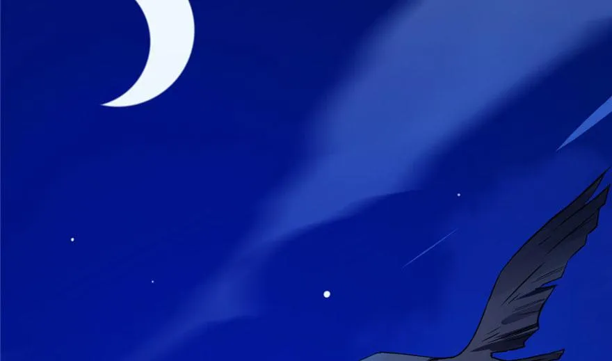 28 第113页