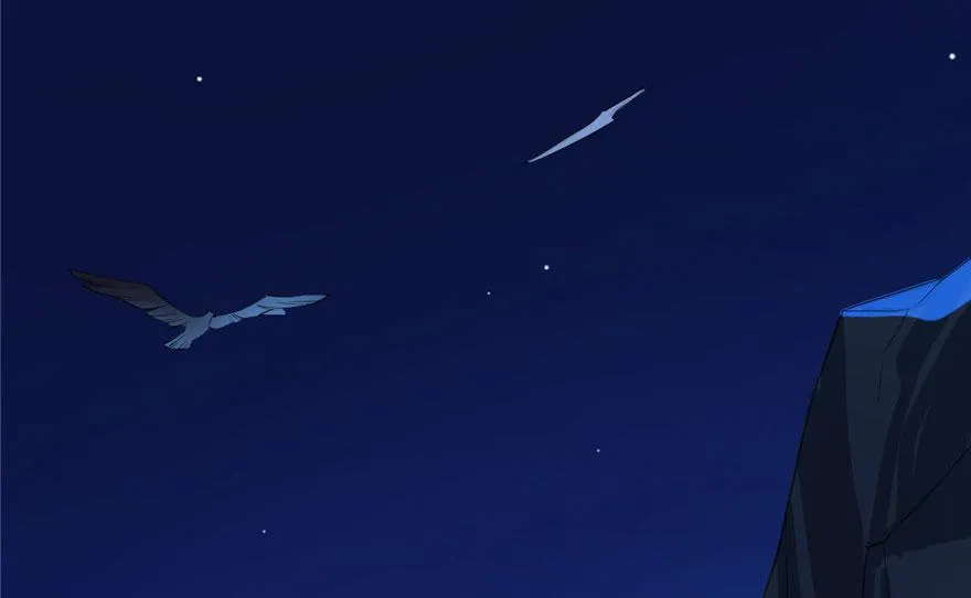 29 第4页