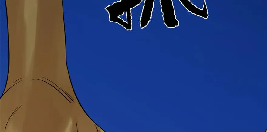 29 第52页