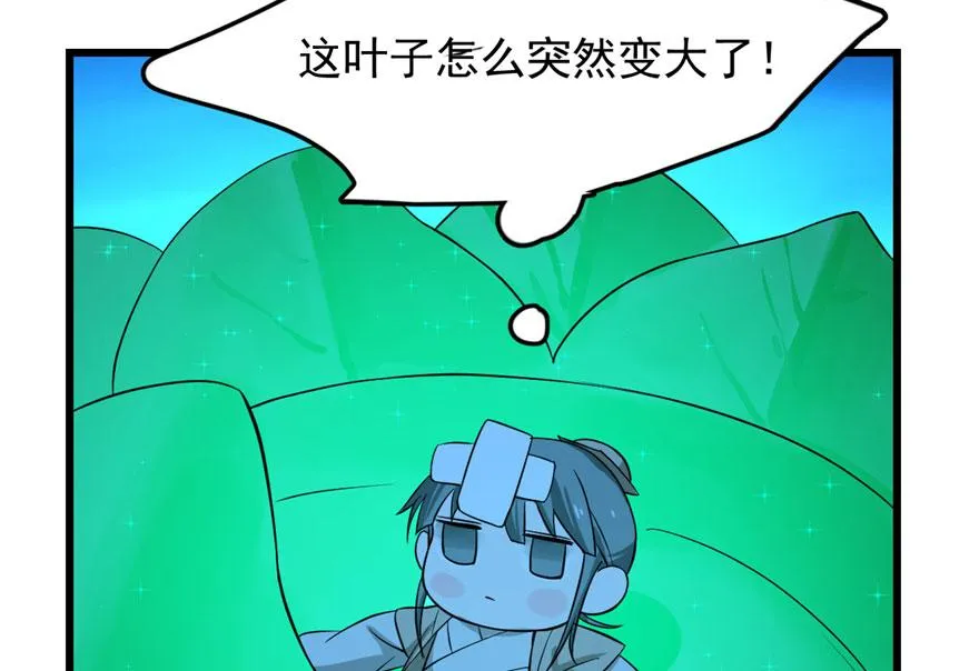 31 第13页