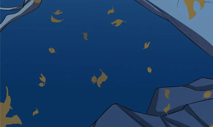 34 第14页