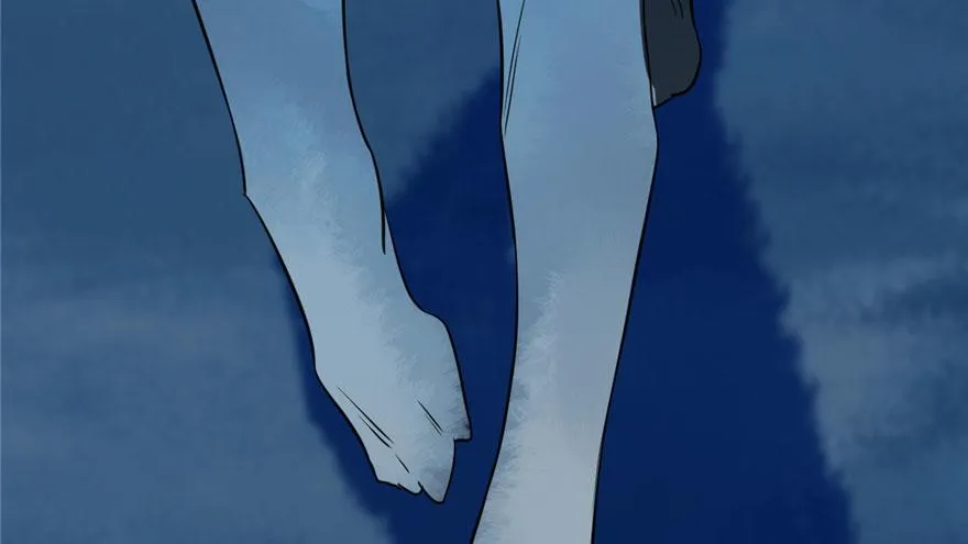 34 第74页