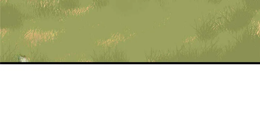 41 第4页
