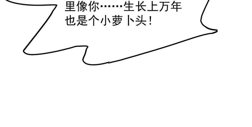 41 第28页