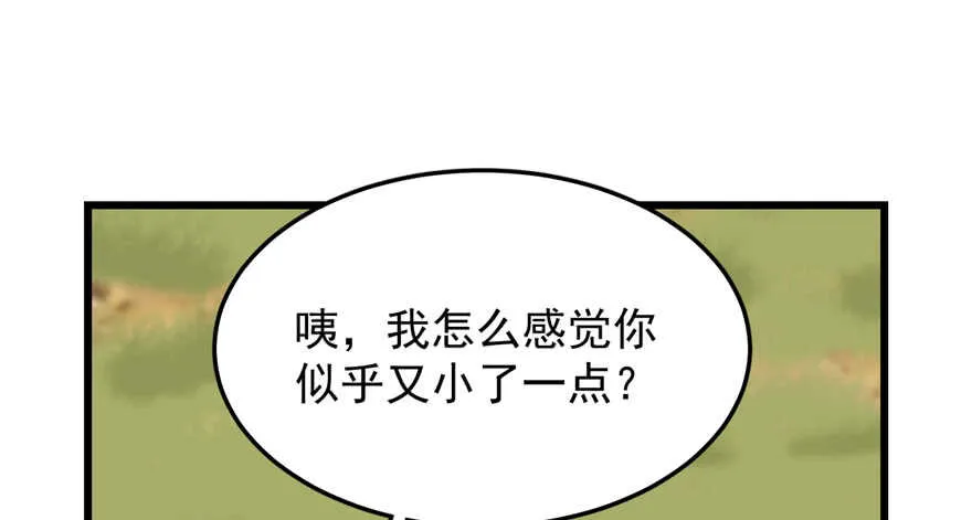 41 第29页