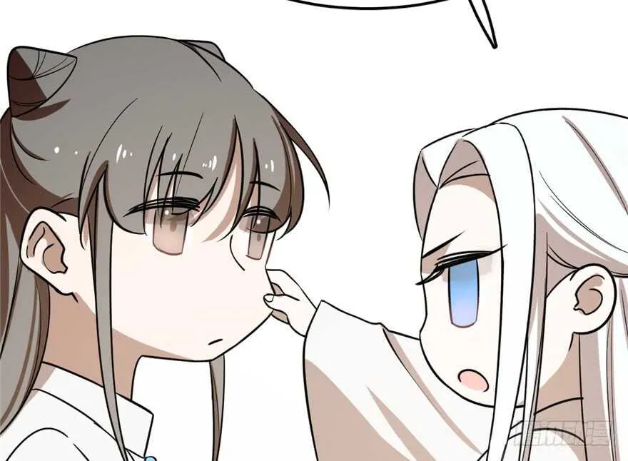 41 第36页