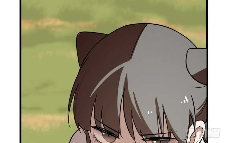 41 第77页