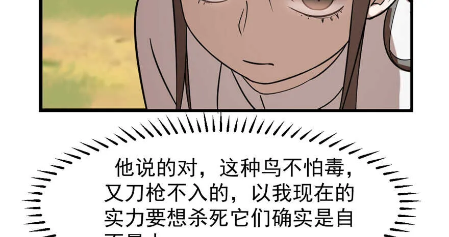 41 第78页