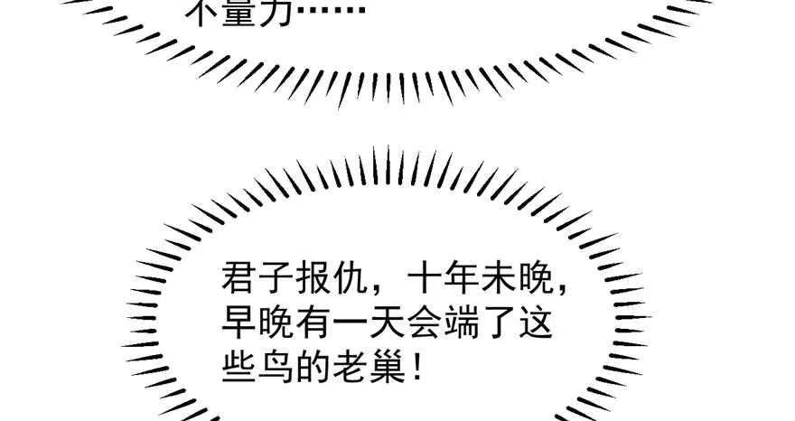 41 第79页