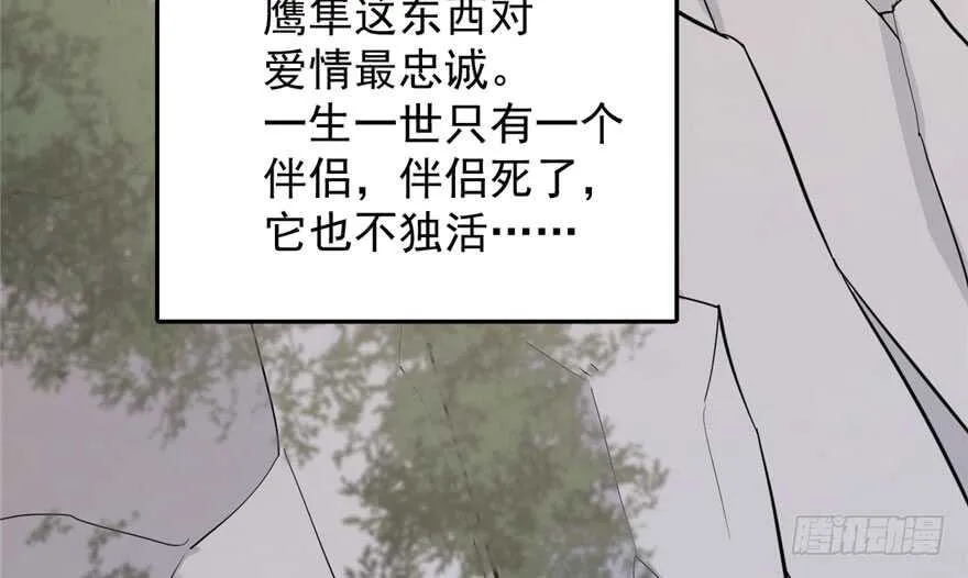 42 第63页