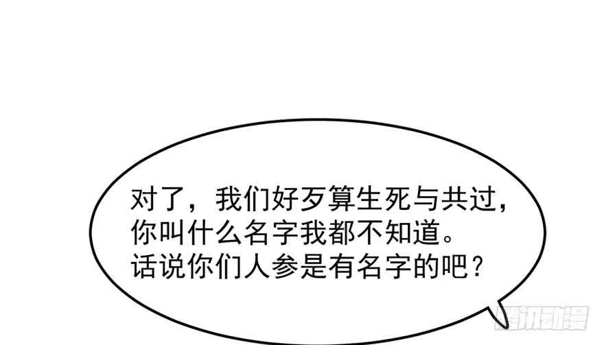 43 第45页