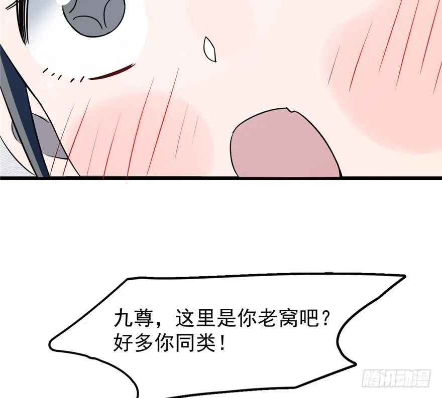 49 第12页