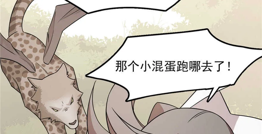 51 第12页