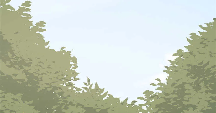 51 第17页