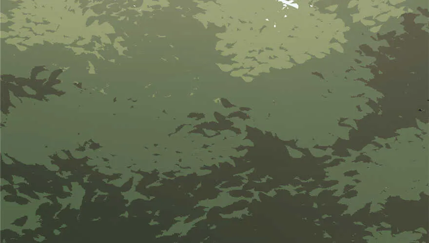 51 第18页
