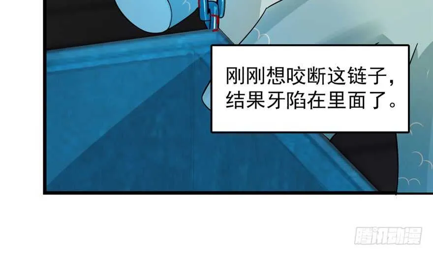52 第82页