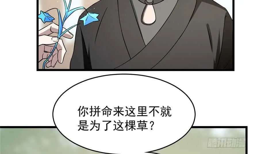 66 第46页
