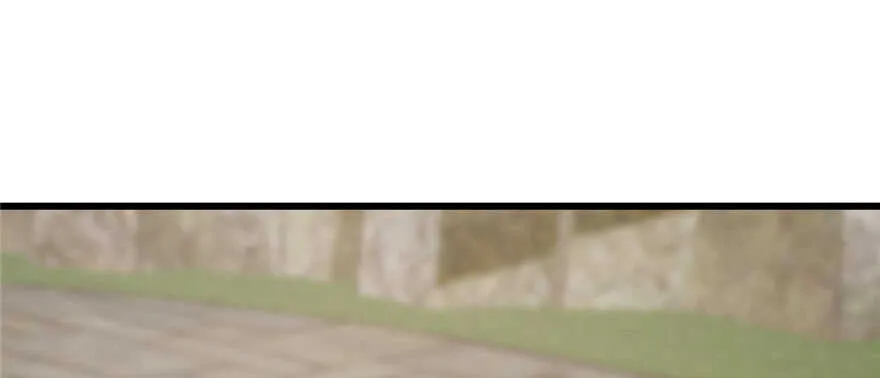 80 第120页