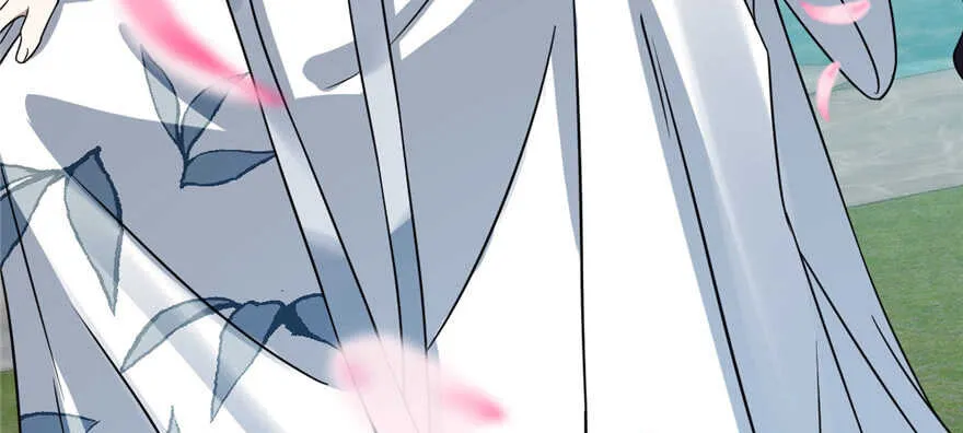 81 第113页
