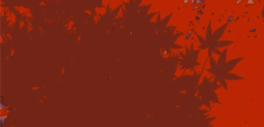 84 第145页