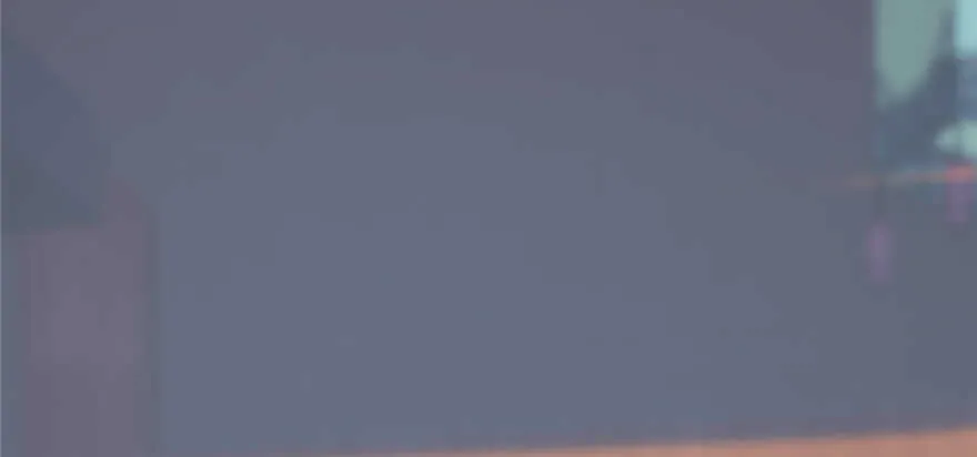 88 第77页