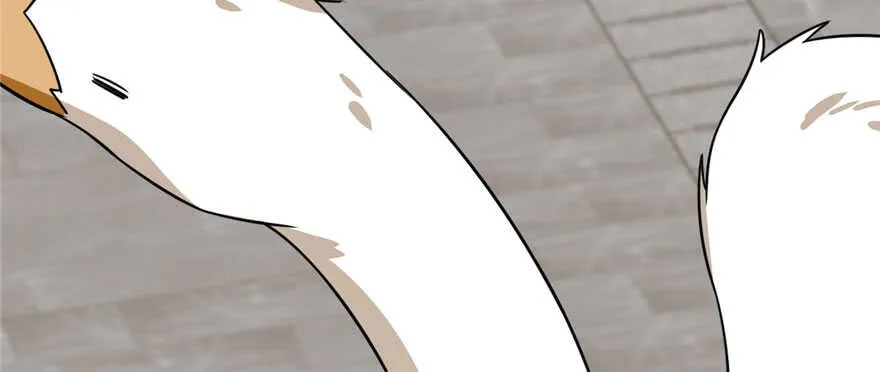 91 第154页