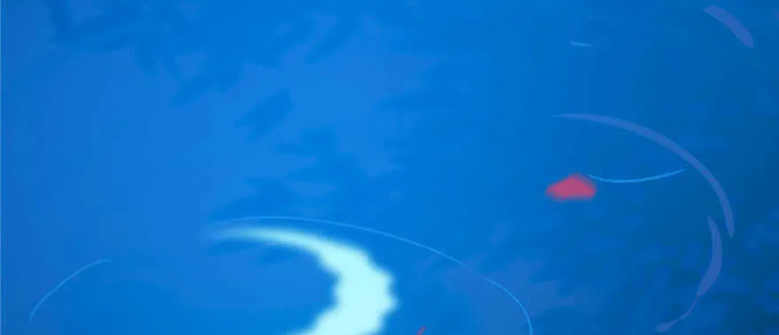 96 第113页