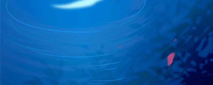 96 第114页