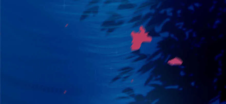 96 第116页