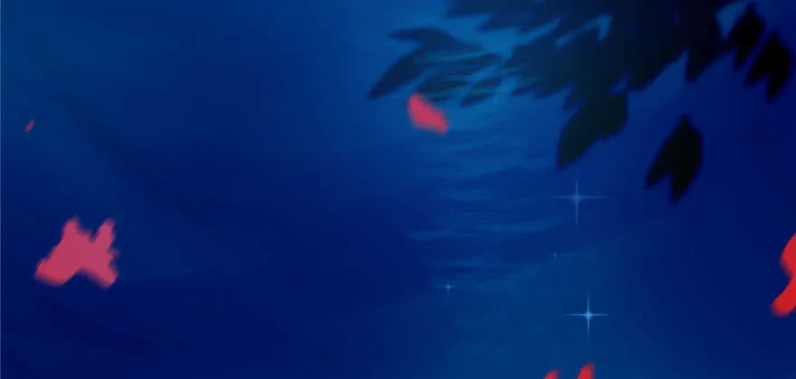 96 第117页
