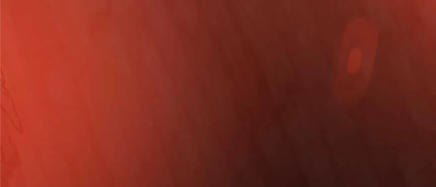 107 第150页