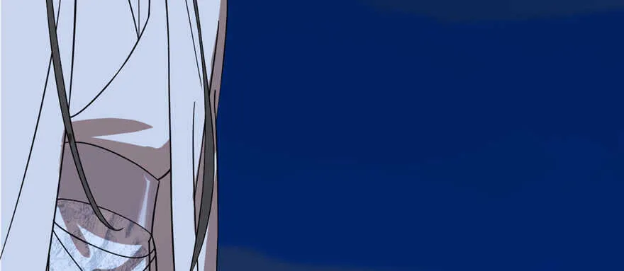 113 第25页