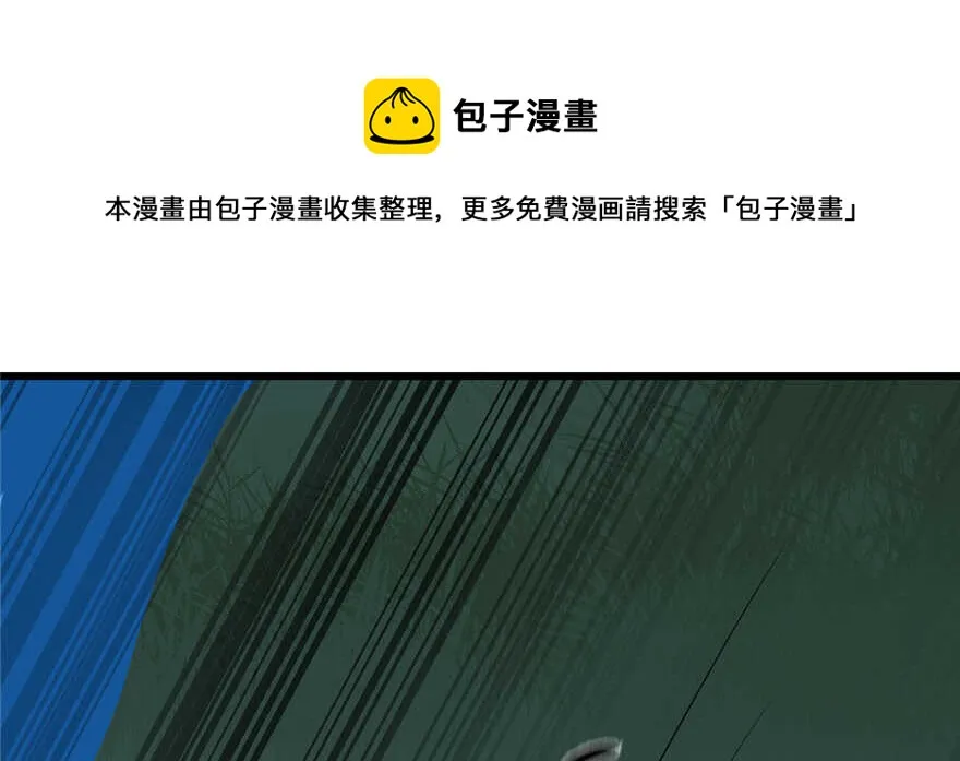 113 第31页