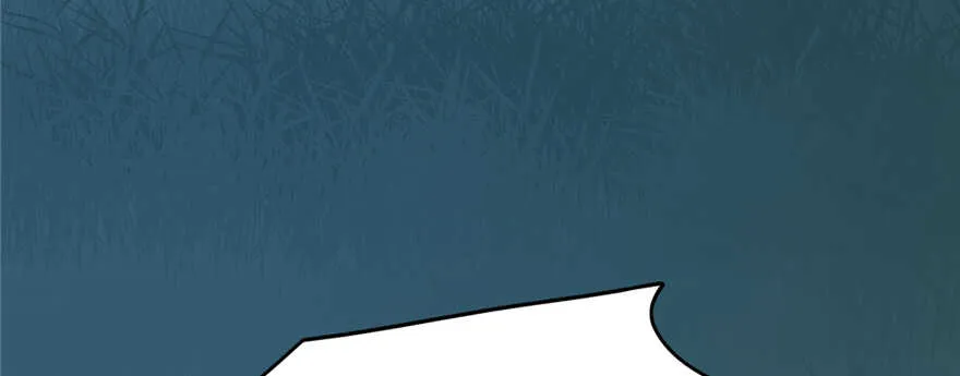 113 第45页