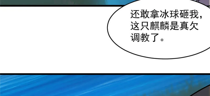 113 第97页